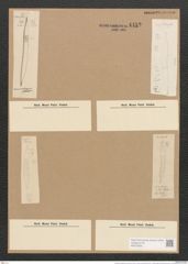 Hantzschia amphioxys Grunow (de-Toni-Nr.: Genus 50, Species 2204 var. ?) Zeichnungen Sammlung Grunow Nr. 4452 (NHMW-BOT-W0372630)